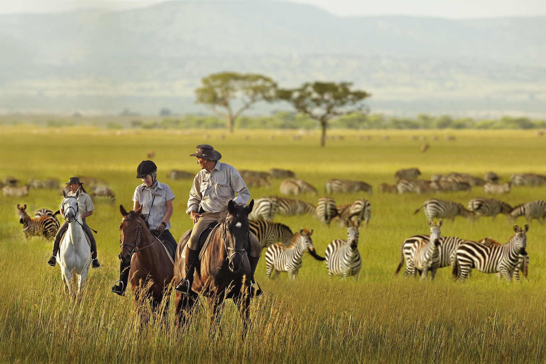 LXP - Beautiful Location Getaway Travel To Tanzania Serengeti National Park Zebras