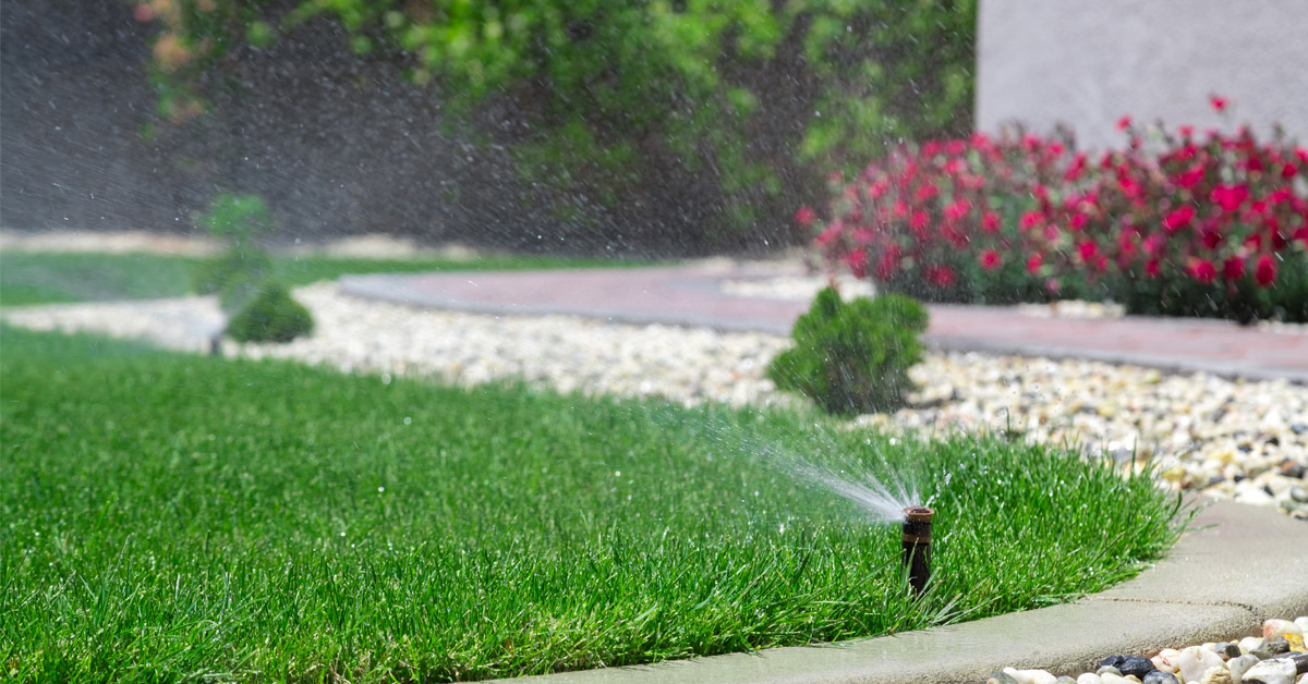 Maintaining your lawn