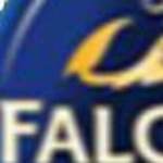 Profile picture of Goldenfalcon