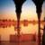 Profile picture of Royal Adventure Tours