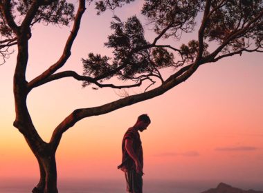 young man standing next to a giant tree in a forest full of trees while the sun rise